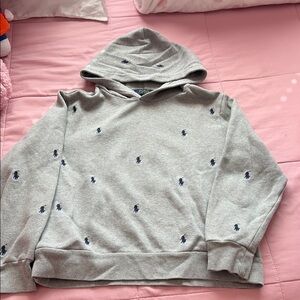 Gray Hoodie with Navy Embroidery